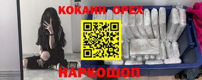 СК Заводоуковск