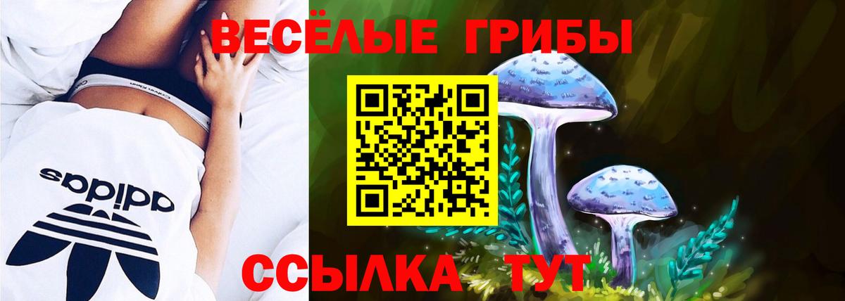 Галлюциногенные грибы ЛСД  Вход с VPN  где можно купить   Лесной 